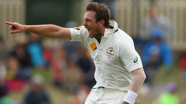 Action man:  James Pattinson celebrates taking a wicket during day three of the Test against the West Indies in Hobart. 
