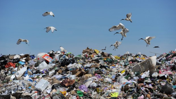 Victorian Greens leader Greg Barber said waste reduction efforts had stalled.