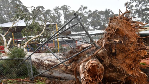 Menzies Creek Primary School in the Dandenongs was severely damaged during Sunday's gale-force winds.
