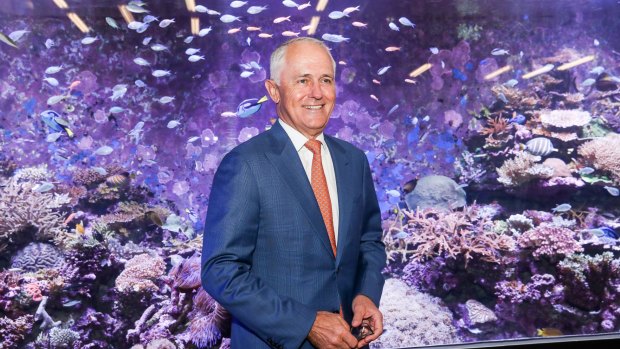 Prime Minister Malcolm Turnbull visits the Australian Institute of Marine Science (AIMS) to unveil the 'rescue plan' for the reef.