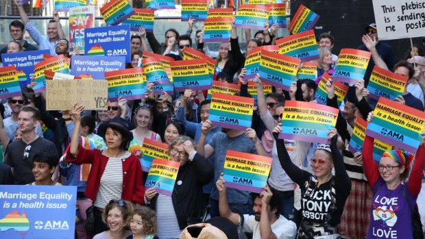 Hundreds of doctors and medical students rally in Sydney to support marriage equality.