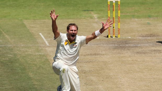 Uncertainty: Australian quick Ryan Harris is in two minds about turning out for next week's first Test in Adelaide.