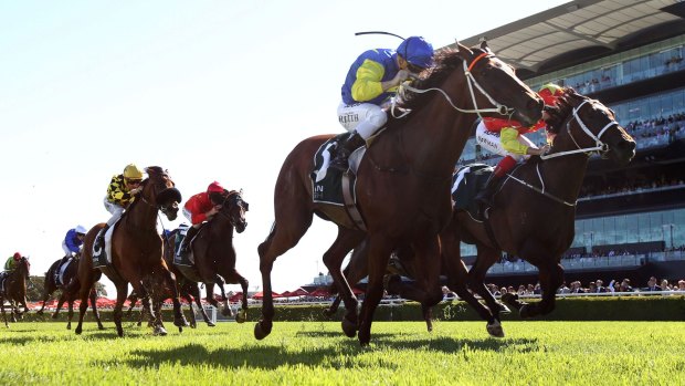 Christian Reith rides Le Romain to victory in the Randwick Guineas.
