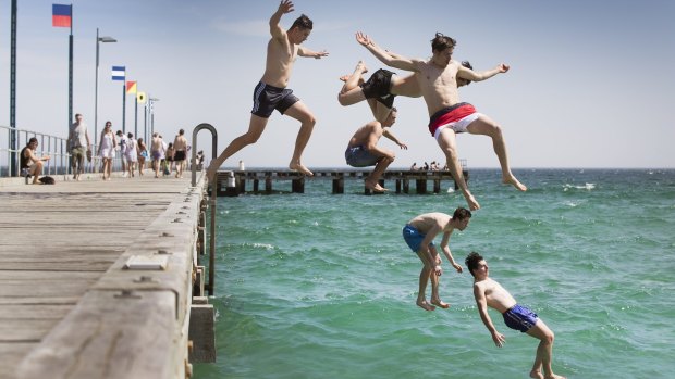 Wednesday will bring beach weather to Melbourne - but the water in the bay is still pretty chilly. 
