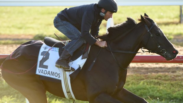 Damien Oliver riding Vadamos during a trackwork session.