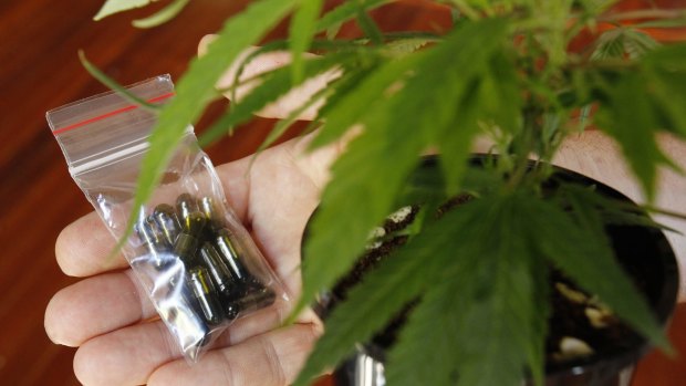 CBD was effectively legalised in WA from June 1 but is yet to be approved by the TGA.