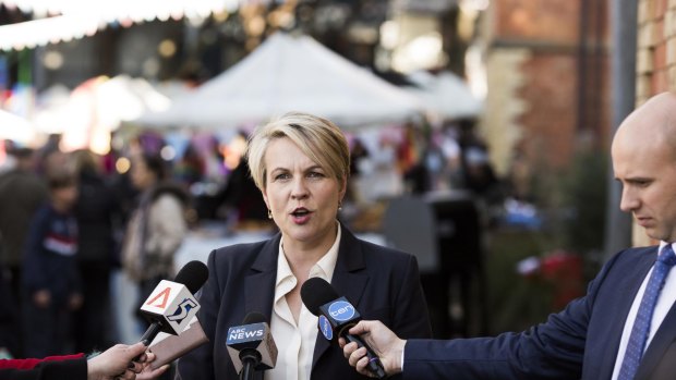 Labor deputy leader Tanya Plibersek, pictured in her electorate on Saturday, said Mr Shorten had run "a great campaign."