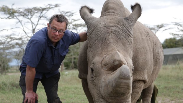 Hugh Fearnley-Whittingstall in <i>Saving Africa's Elephants</i>.