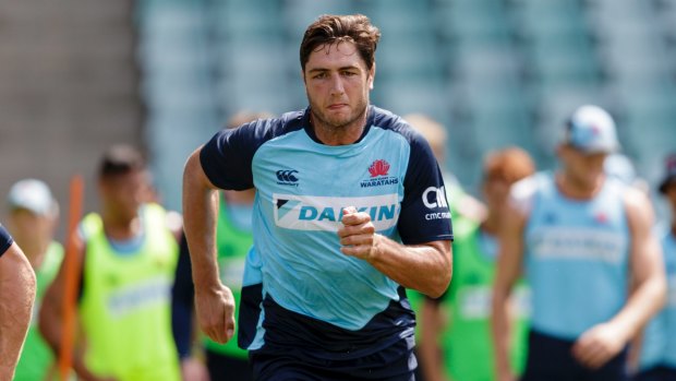 New lease of life: NSW recruit Rob Simmons at Waratahs training on Monday.