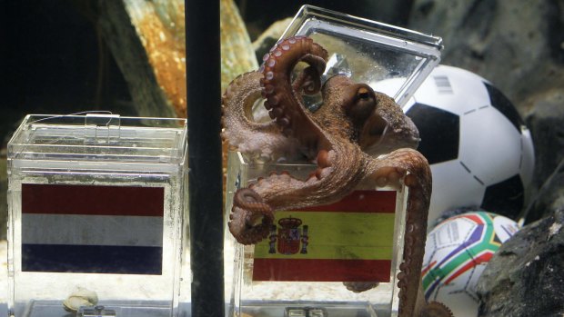 Paul the Octopus successfully predicts Spain to win the FIFA World Cup in 2010.