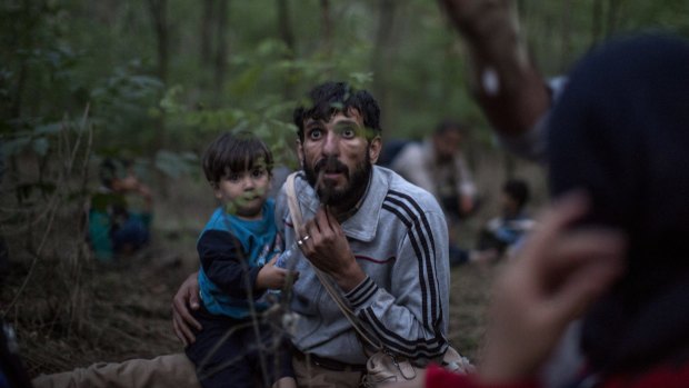 Refugees run through fields and forests to evade the Hungarian police close to the Serbian border.