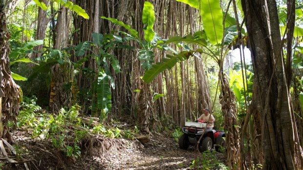 Exploring the interior of Pitcairn Island  on a quad bike.
