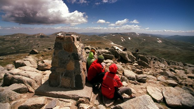 Mount Kosciuszko from its summit.