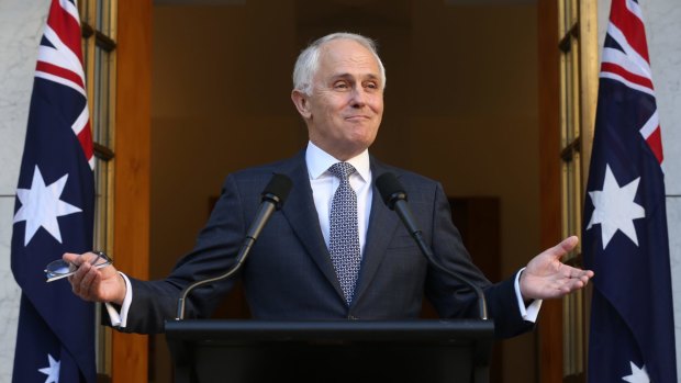 Prime Minister Malcolm Turnbull's economic team is light in hands-on experience.