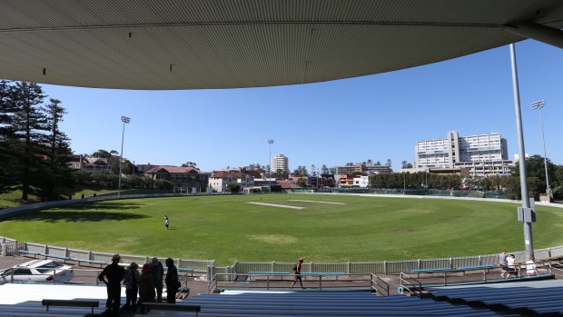 Potential carpark: Manly Oval as it currently stands.