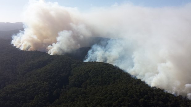 Firefighters continue to battle the Otway fires. 