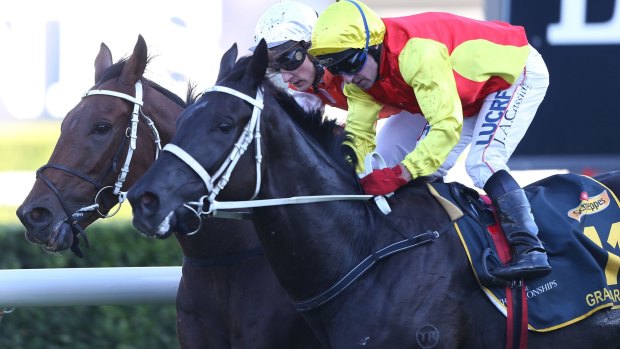 Pump action: Cassidy, on Grand Marshal, pips Whoshotthebarman  to win the Sydney Cup.