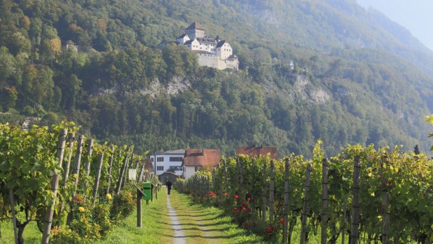 Vineyards along the Liechtenstein Trail.