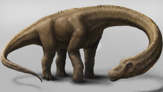 Dreadnoughtus schrani.