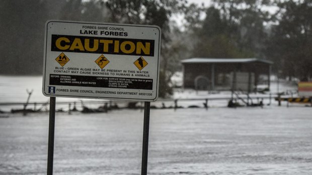 Floods in Forbes have cut the main access to the town. 