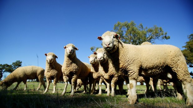 Conditions on many farms in eastern may be difficult for a while yet, with odds favouring below-average rain.