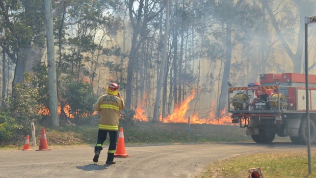 The fire on Filter Road, West Nowra. 