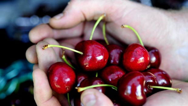 Anthocyanin-rich fruits such as cherries have been shown to affect the brain in several ways.