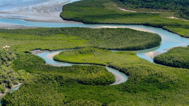 A river meanders through Bijagos Archipelago, Guinea Bissau, which has diverse ecosystems  that shelter exceptional biodiversity.