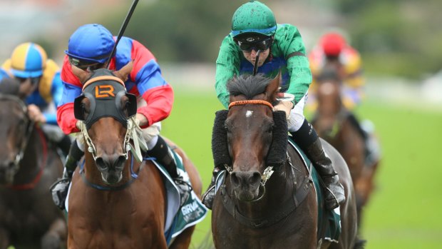 'Great type': Inference returns after winning the Randwick Guineas.