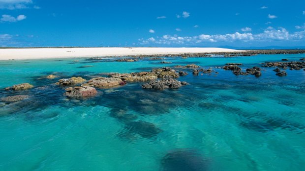 Michaelmas Cay on the Great Barrier Reef, where two French tourists died on Wednesday.