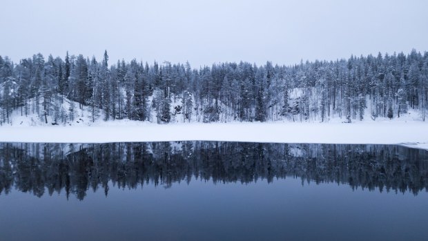 Oulanka National Park in winter, Ruka, Finland.