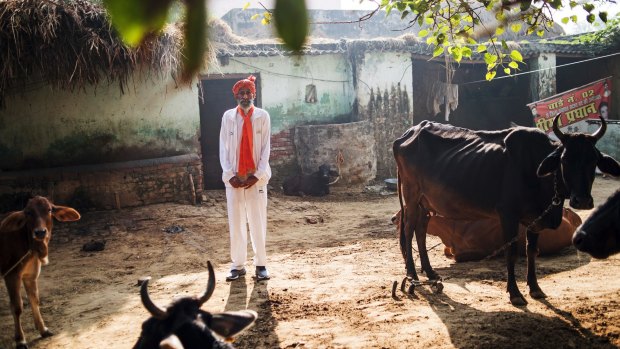 Dharam Pal Singh, a herder who regularly runs and claims to be 119 years old, with some of his livestock at home in Gudha, India, Oct. 27, 2016. 