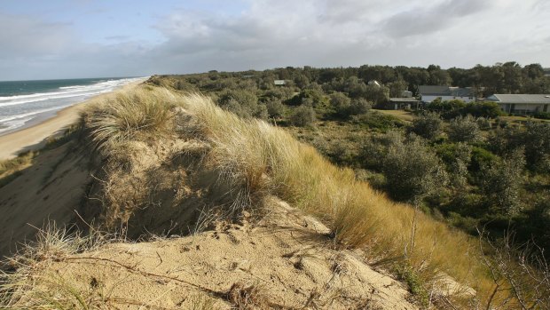The sand dunes that separate The Honeysuckles from Ninety Mile Beach.