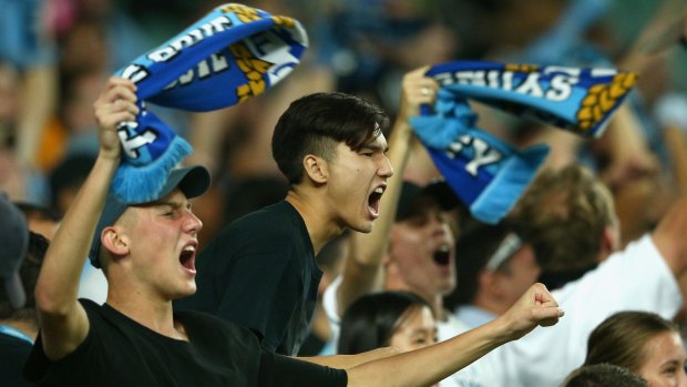 Something to shout about: Sydney FC fans celebrate a goal at Allianz.