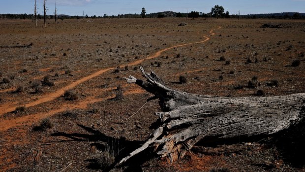 Tough work: Environment Minister Mark Speakman says the burden of biodiversity protection is increasingly falling to farmers.