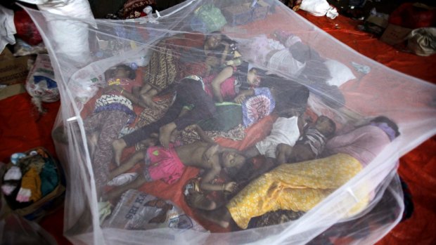 Ethnic Rohingya women and children sleep under mosquito net at a temporary shelter in Langsa, Aceh province.