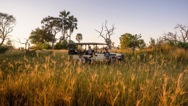 On safari in the Okavango Delta.