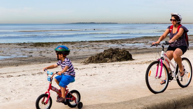 Smelly seaweed piled up at Altona Beach is possibly to blame for Melbourne's odour issues.
