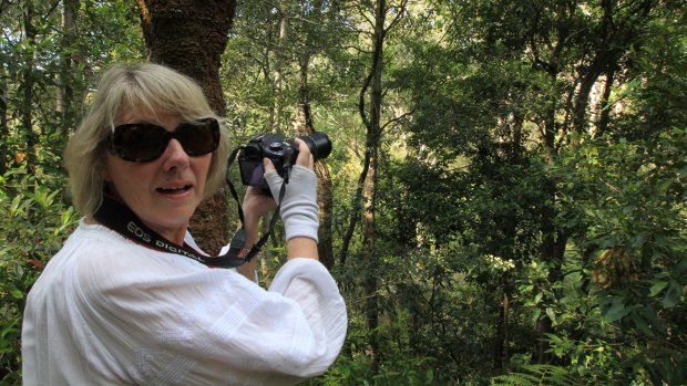 Fighting for the owl: Local resident Patricia Brown said she was "in tears" the first time she saw a rare powerful owl along the Byles Creek.