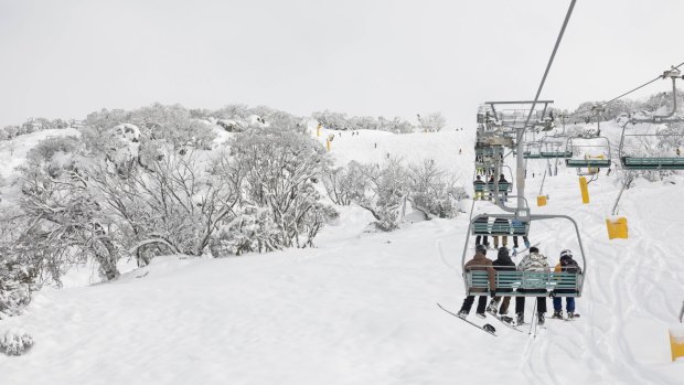 The cold snap has dumped 60cm of snow on Perisher.