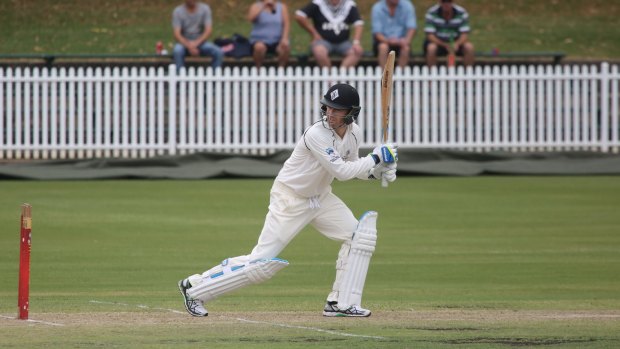 Crowd-pleaser: Michael Clarke pulled a larger than usual crowd to Pratten Park.