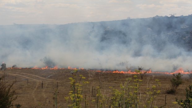 The fire burnt 630 hectares by Wednesday evening.
