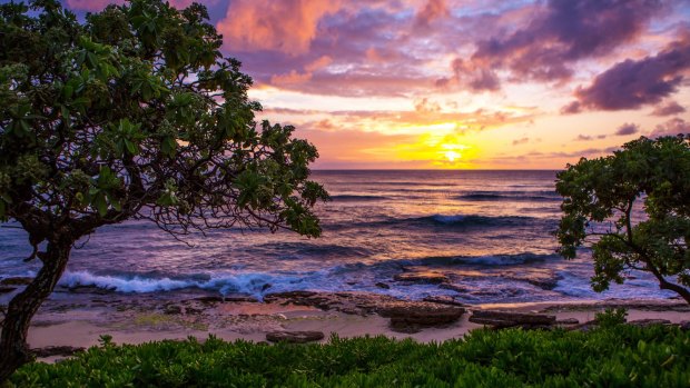 View from Turtle Bay Resort.