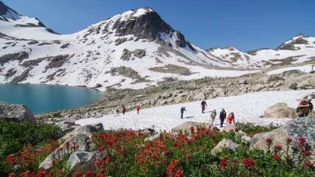 CMH hikers cross a patch of snow high in the Bugaboos.