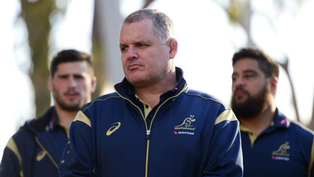 Man on a mission: Wallabies coach Ewen McKenzie.