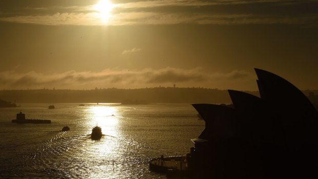 Surface water temperatures in Sydney Harbour have been running well above average.