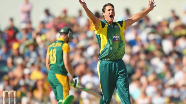 No need to panic: Cricket Australia say they budgeted for modest crowds in the ODIs.