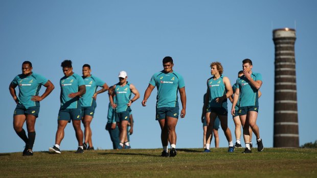 Knackered: Wallabies players during a hills training session in Sydney. 