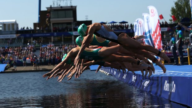 And they're off: Competitors dive in for the swim leg in the women's triathlon at the Commonwealth Games.