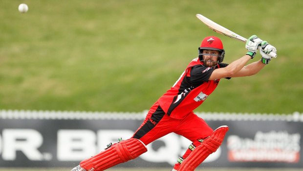 Big season: South Australian batsman Alex Ross is aiming to help the Redbacks win the Sheffield Shield for the first time in 20 years.